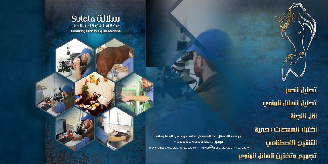 عيادة سلالة الإستشارية لطب الخيل